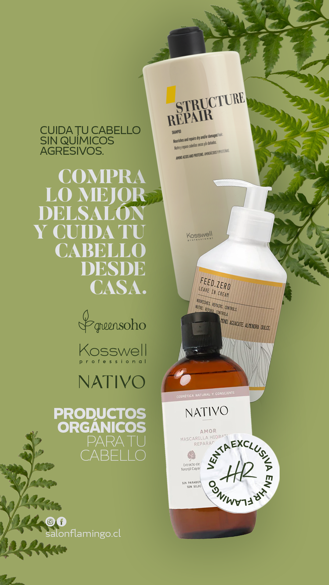 CARRUSEL--ORGANICOMesa-de-trabajo-5