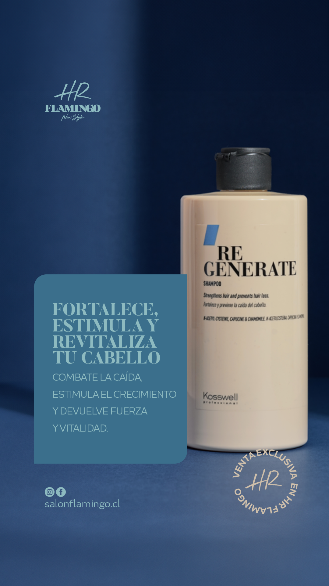 HR-OCTMesa-de-trabajo-11